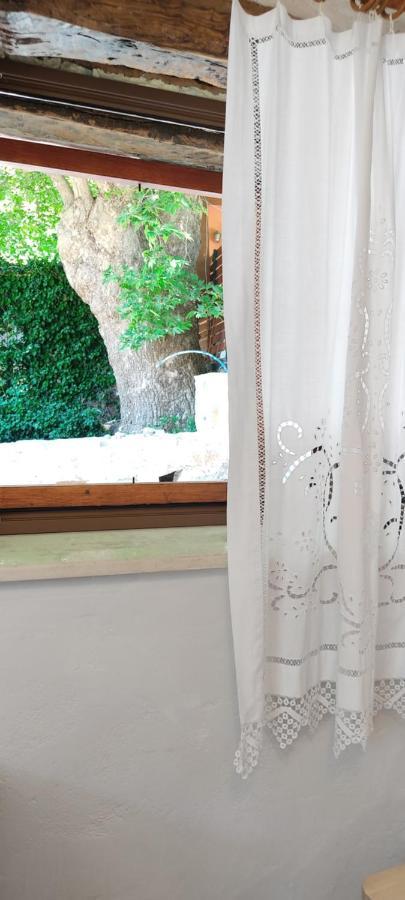 Feneri 3 -cozy Rustic 20' From Elafonisi Apartamento *